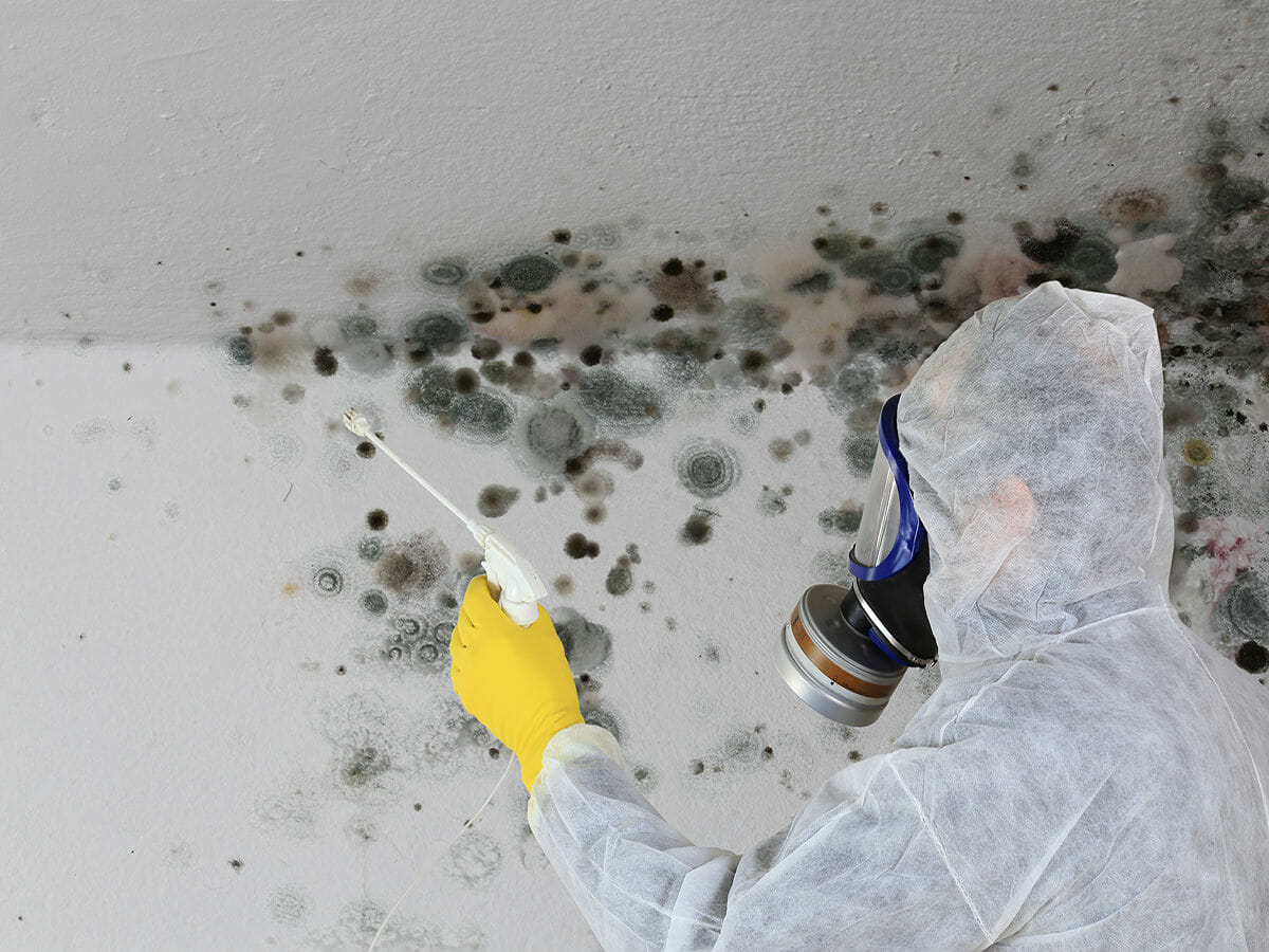 Mold Remediation by Toronto Property Restoration company Desa Contracting and Restoration