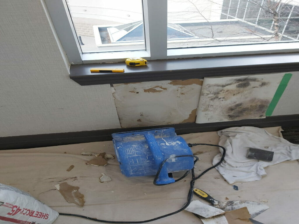 Toronto Condo Mold Remediation and removal project