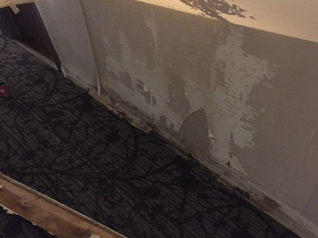 Toronto Condo Mold Remediation and removal project