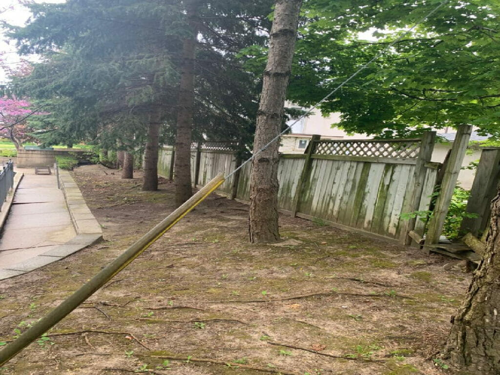 The photograph shows a pathway,few trees, and backyards of houses that have not yet had Desa Contracting Restoration and Janitorial Service waterproof them.