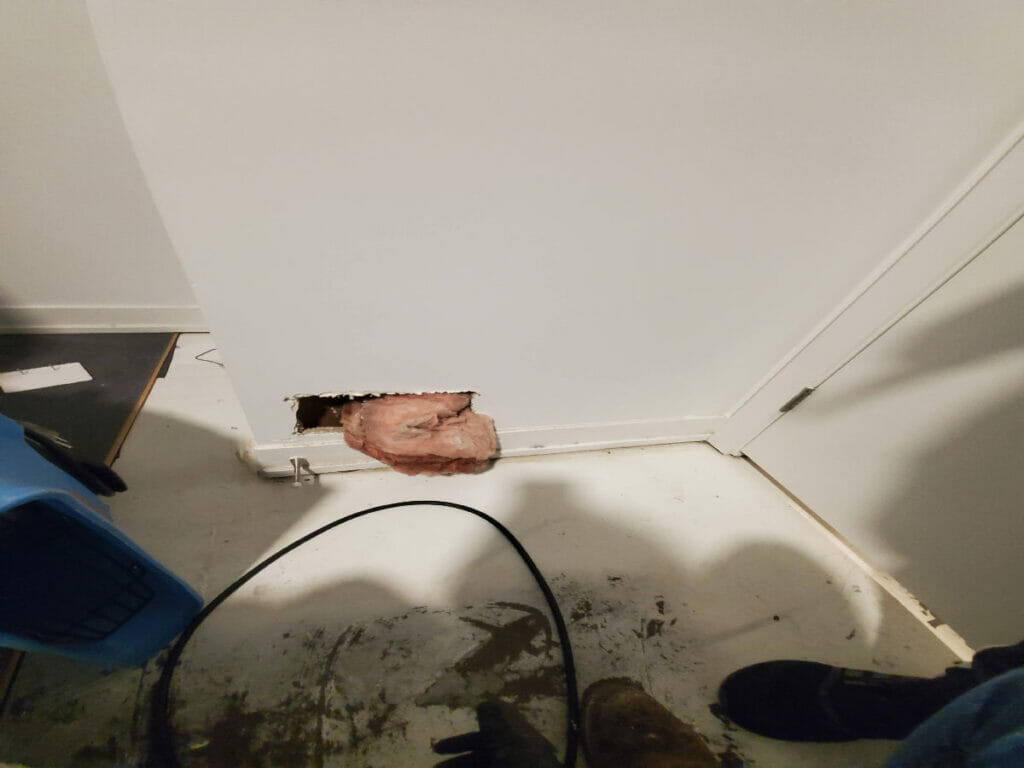Desa Contracting, Restoration, and Janitorial Services performed pre-water damage restoration on a Toronto home and discovered a mould growth protruding from a side wall and floor erosion with their water drying equipment.