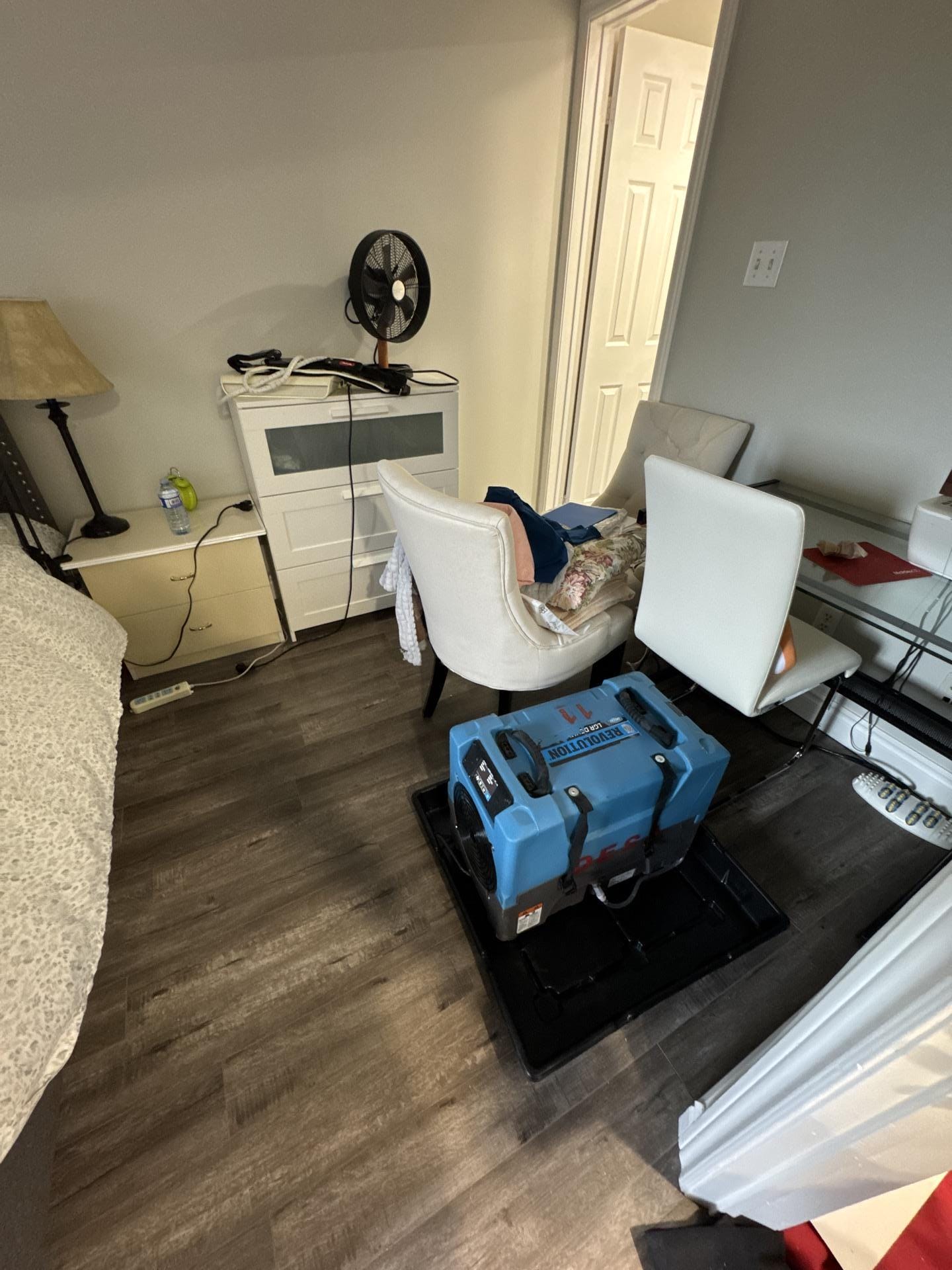 Should You DIY Water Damage Restoration?