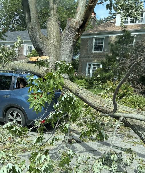 Storm Damage Cleanup Toronto | DESA Contracting & Restoration